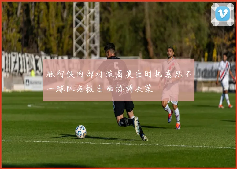 独行侠内部对浓眉复出时机意见不一球队老板出面协调决策