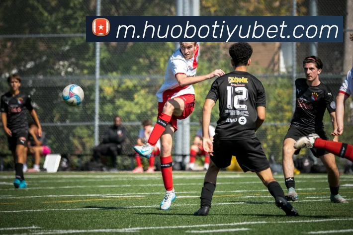 火博体育平台生态图