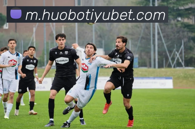 火博体育全站App